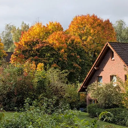 Haus 19 - Entschleunigung Pur Zwischen Wald, Wiesen Und Ruhigen Radwegen * Nieheim