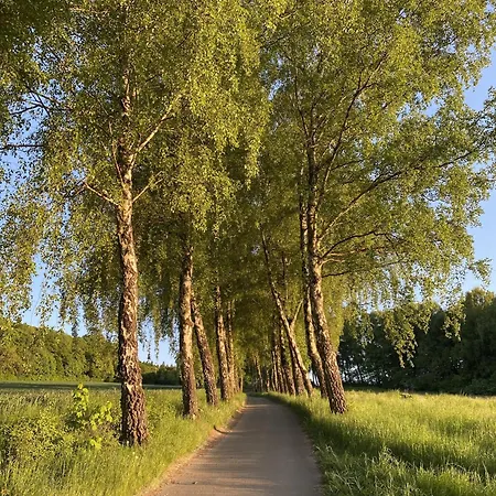 بيت للعطل Haus 19 - Entschleunigung Pur Zwischen Wald, Wiesen Und Ruhigen Radwegen *